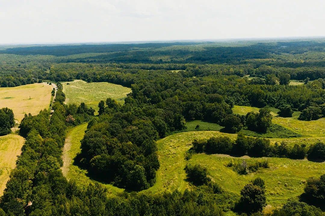 411 Acres in Hardeman County, TN - Saulsbury, Tennessee, 38067