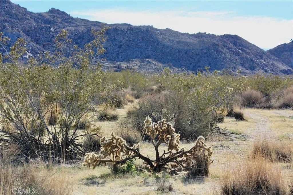 Property from 64647 Foothill Drive - KW - Joshua Tree, California, 92252