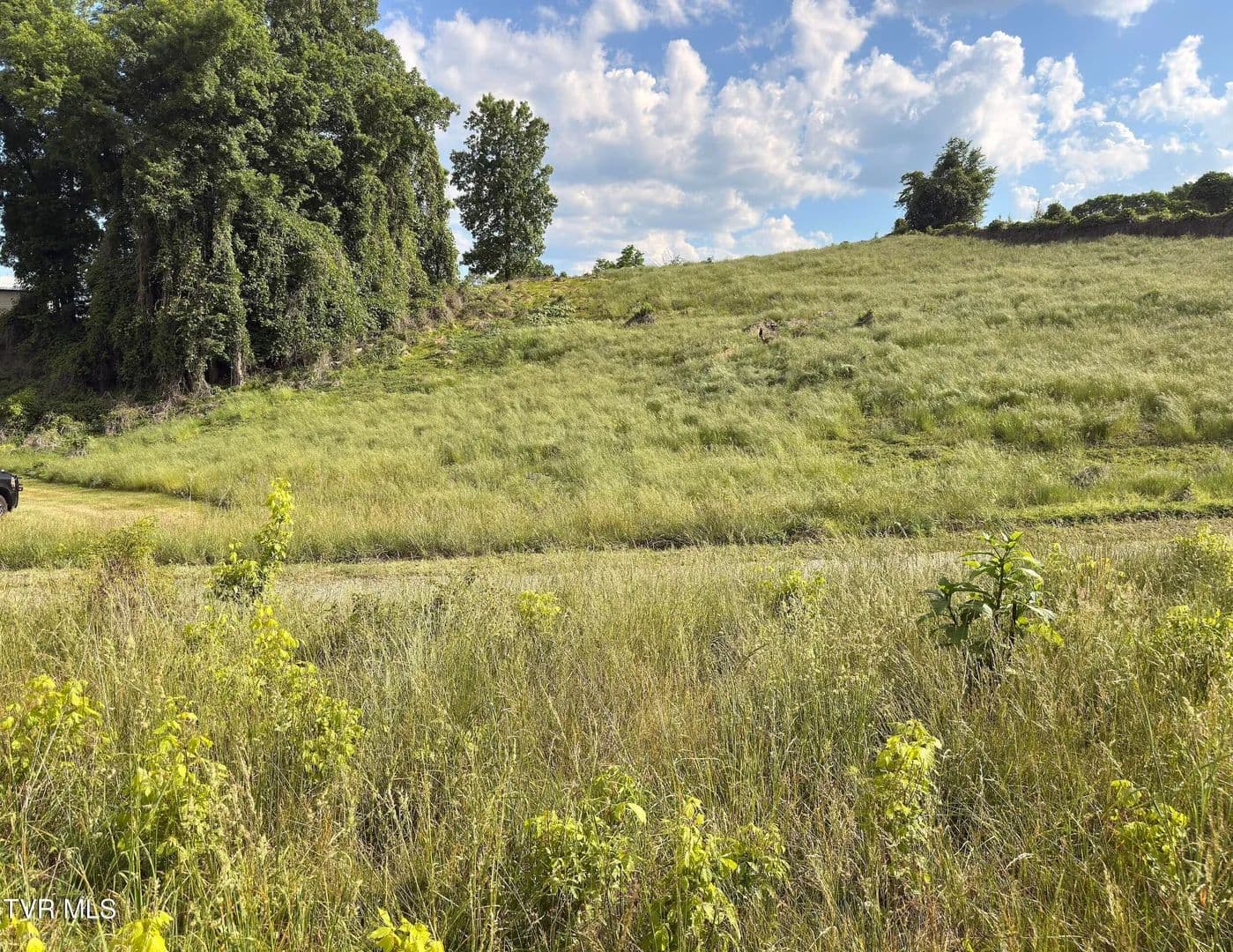 0.8 Acres of Land for Sale in Kingsport, Tennessee - Kingsport, Tennessee, 37660