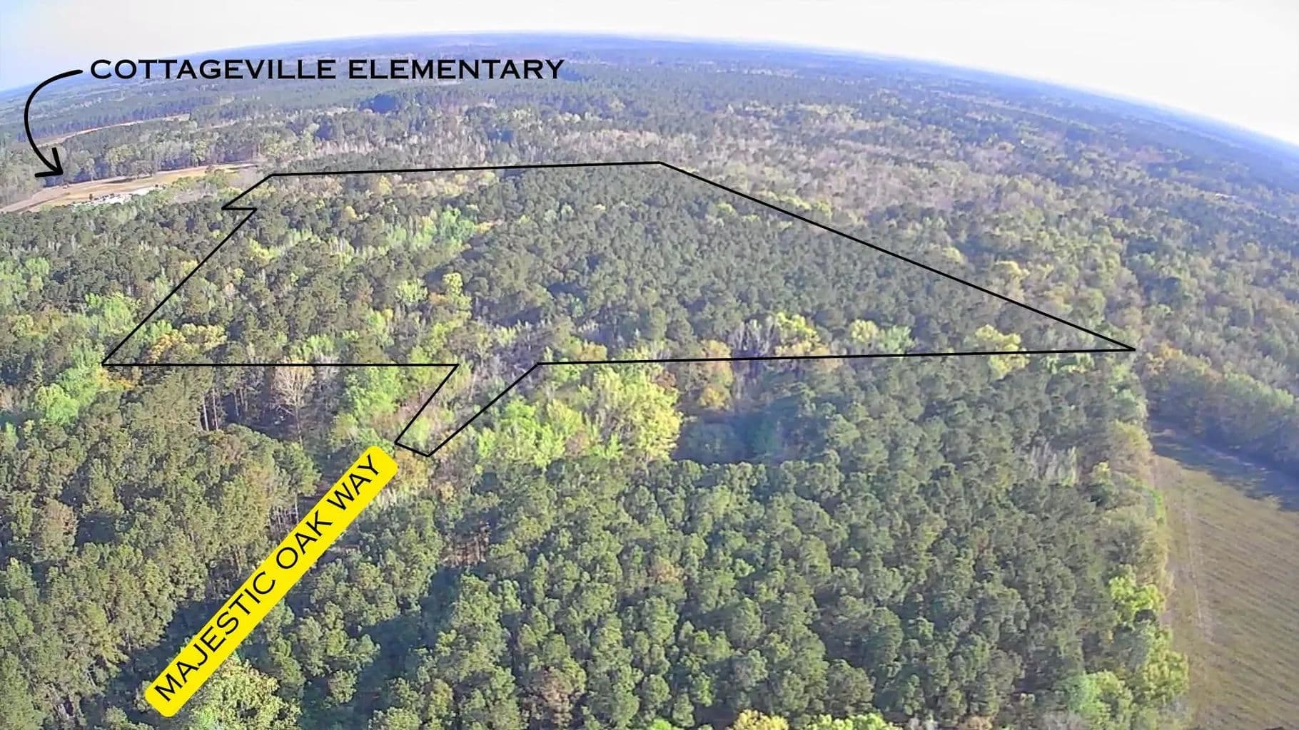 Vacant Land (10+ Acres) in Cottageville - land for sale