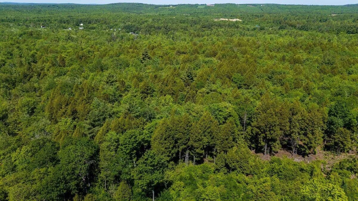 18 Acres of Land for Sale in Washington, Maine - land for sale