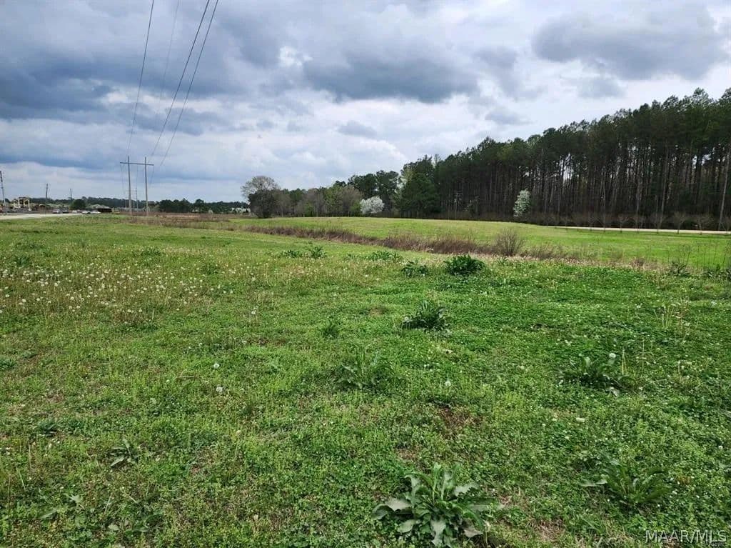 4.19 Acres of Land for Sale in Montgomery, Alabama - Montgomery, Alabama, 36107