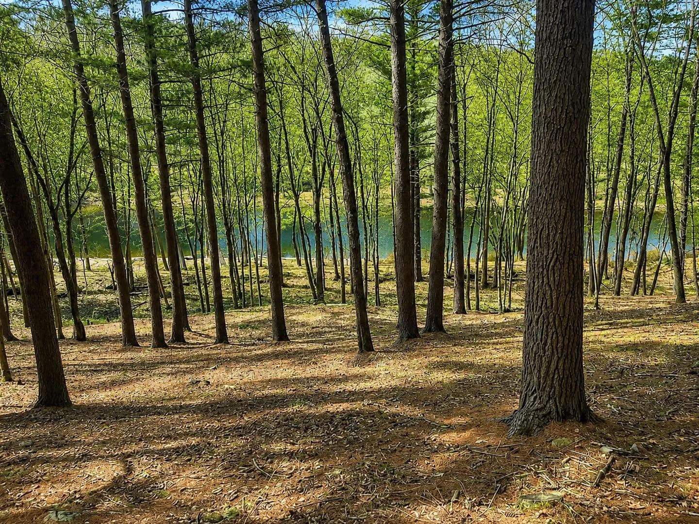 Vacant Land (0-10 Acres) in Hawley - Hawley, Pennsylvania, 18428