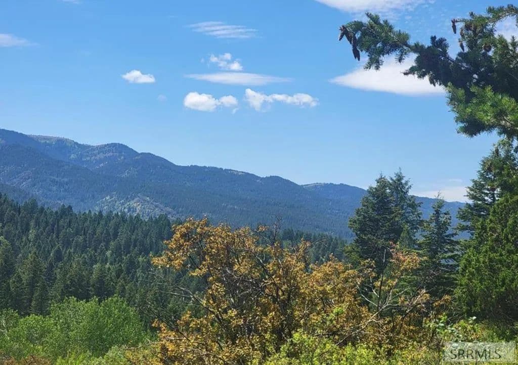 Property from Lot24B3 Cutthroat Run - KW - Irwin, Idaho, 83428