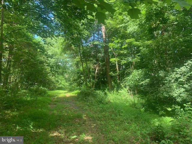 2.82 Acres of Land for Sale in MCCONNELLSBURG, PA - Mcconnellsburg, Pennsylvania, 17233