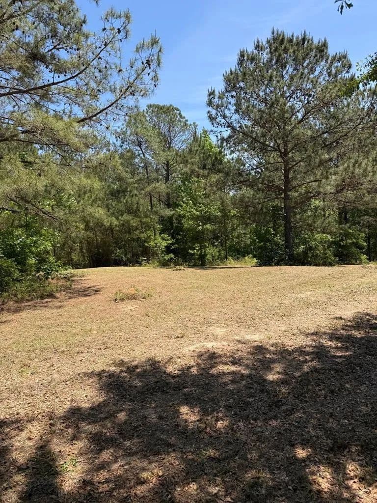 Property from 0 County Road 50 - KW - Abbeville, Alabama, 36310