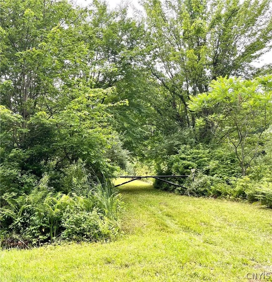 8.77 Acres of Land for Sale in Sterling, NY - Sterling, New York, 13156