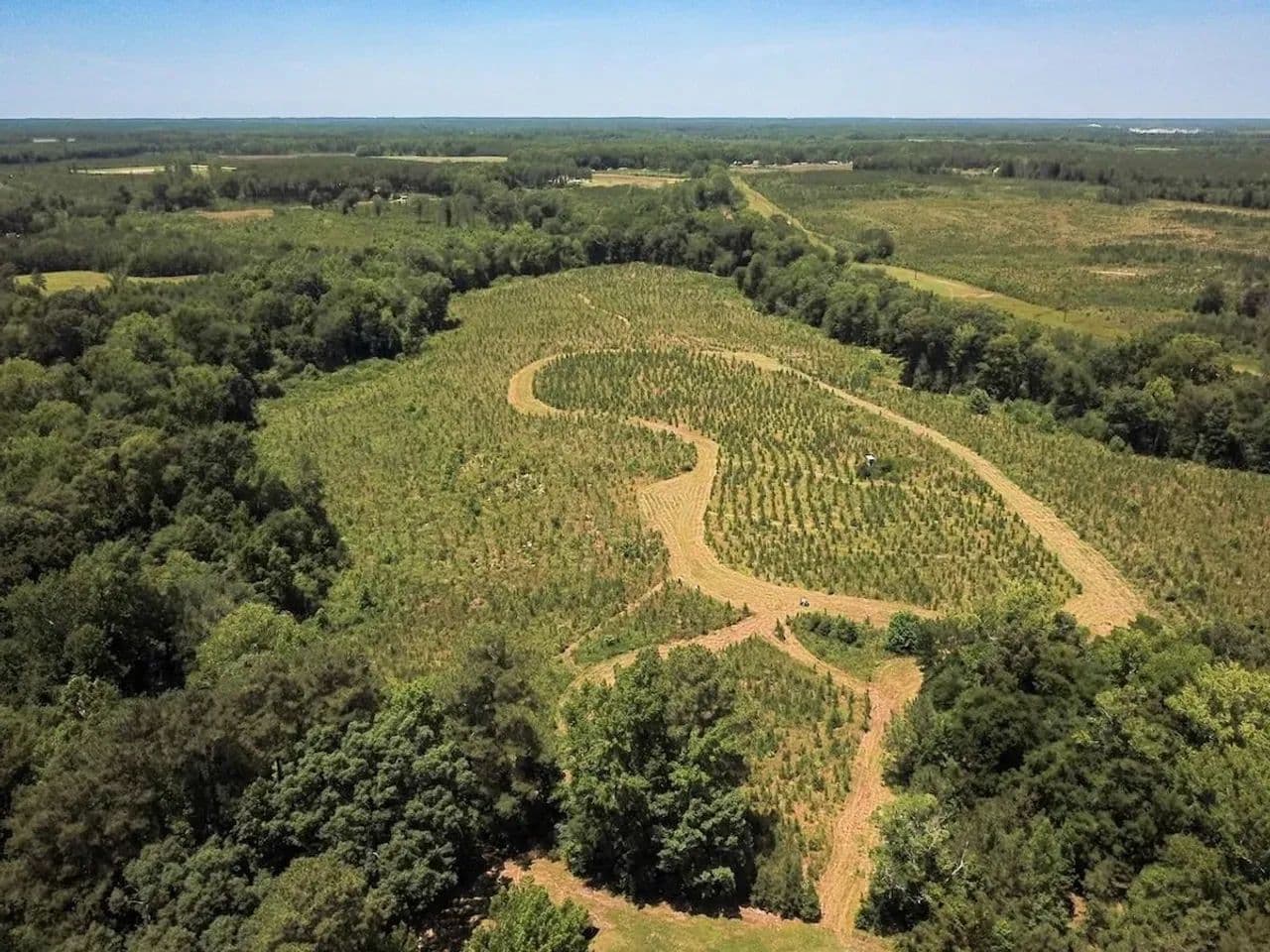 43 Acres of Recreational and Residential Land For Sale in Greensville County VA! - Skippers, Virginia, 23879