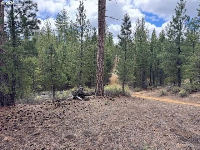 Property from Schoonover 8 #2900 - KW - Crescent, Oregon, 97733