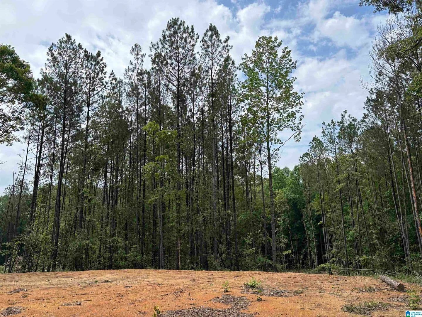 1 Acre of Land for Sale in Wedowee, Alabama - Wedowee, Alabama, 36278
