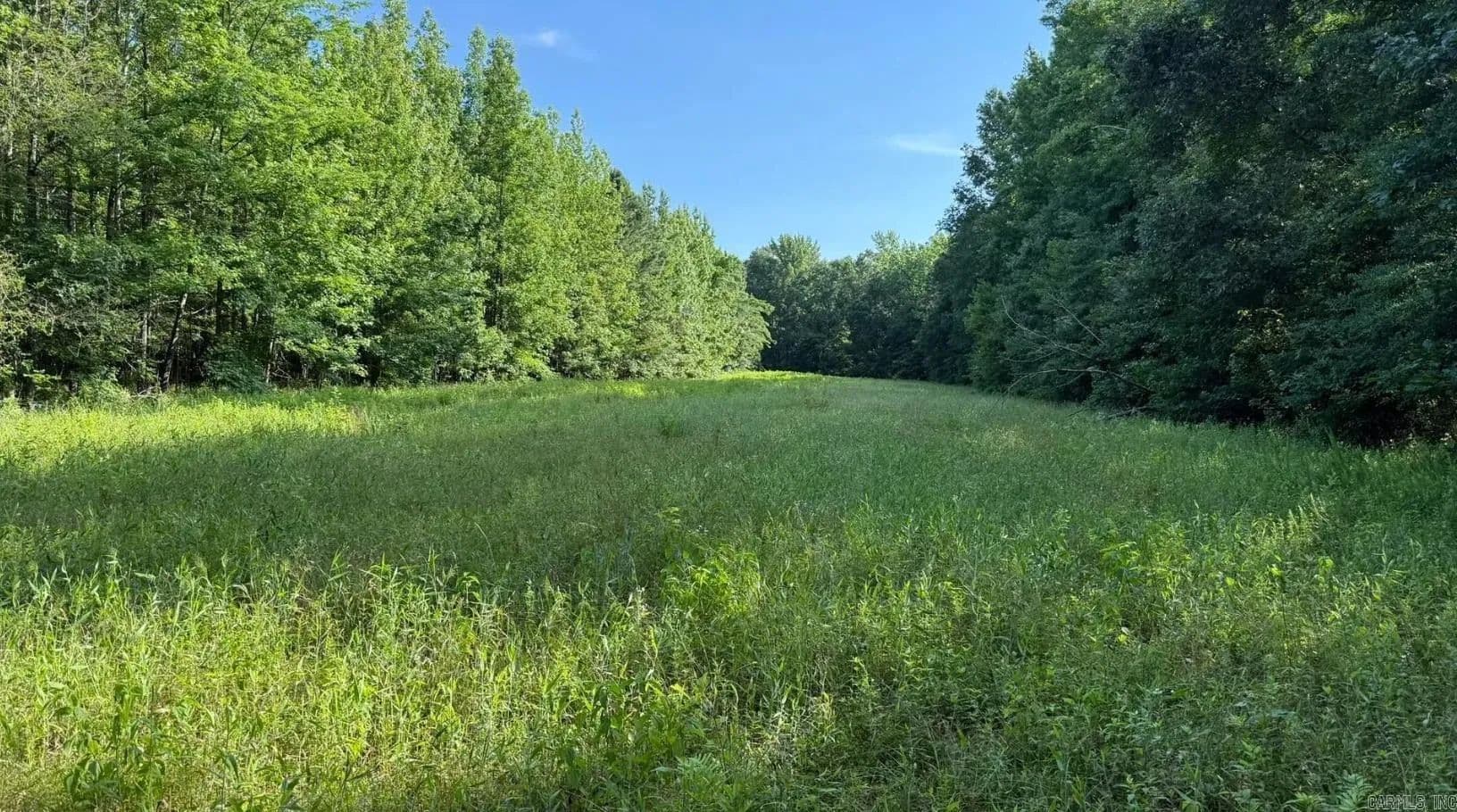 Property from 2212 Graham Road - KW - Jacksonville, Arkansas, 72076