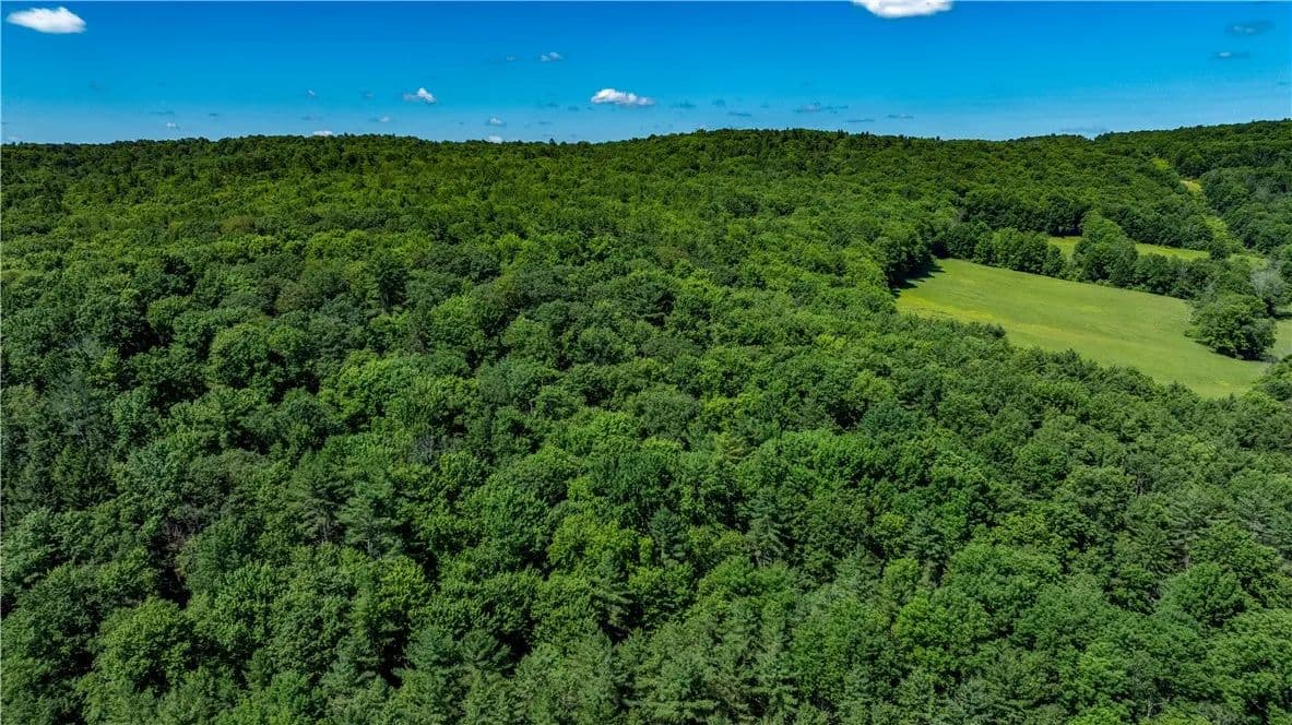 Property from Lower Ravine Road - KW - Norwich, New York, 13815