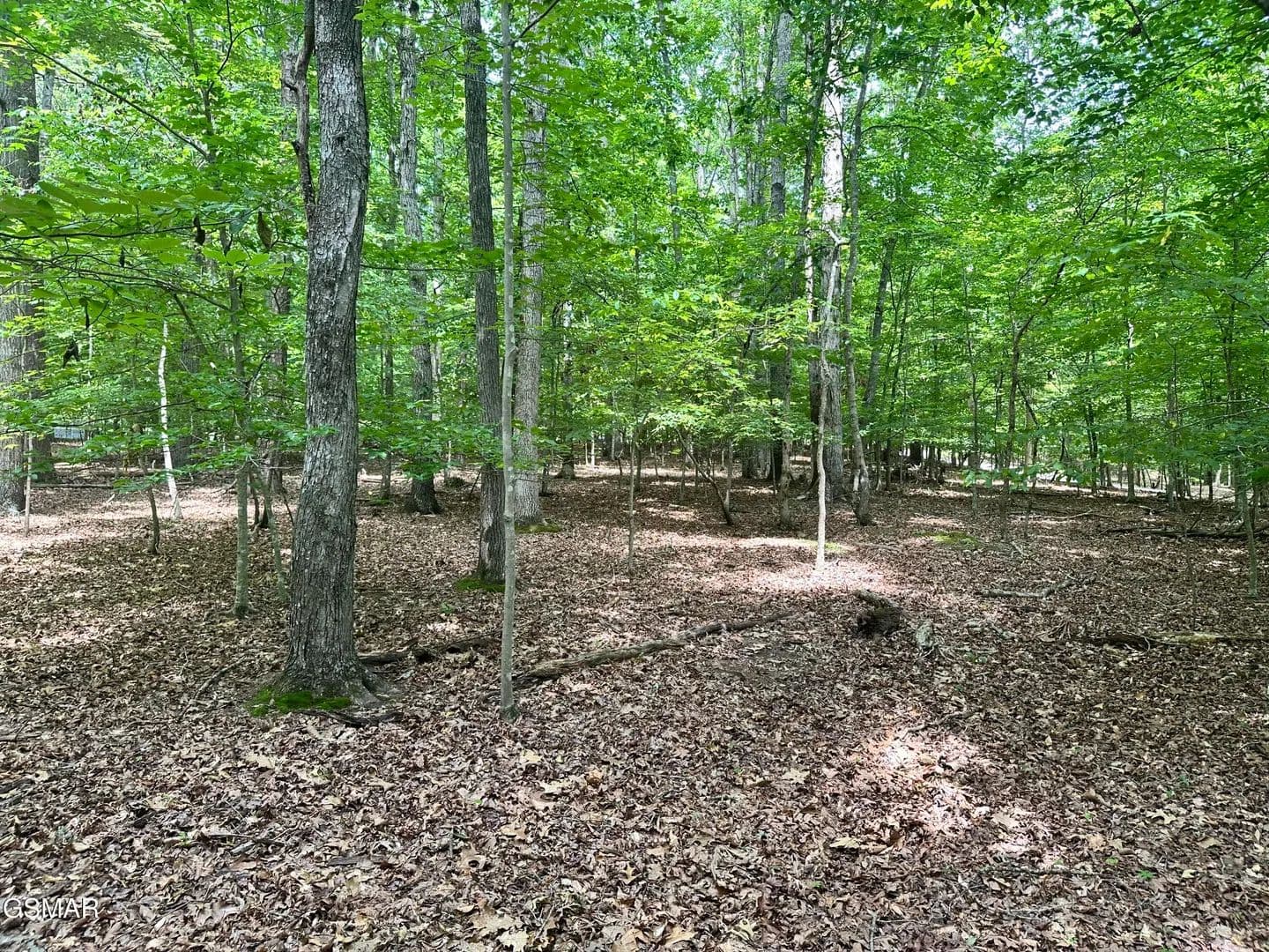 Property from Tract 8 Woods Ridge Road - KW - Dandridge, Tennessee, 37725
