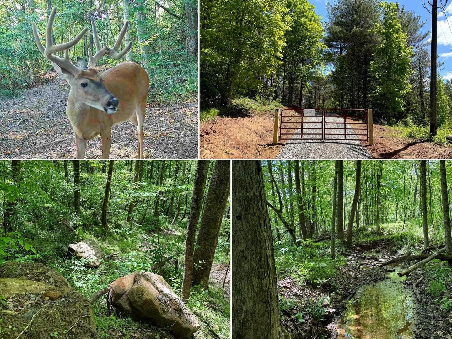 11.02 Acres of Land for Sale in Cheshire, Ohio - Cheshire, Ohio, 45620