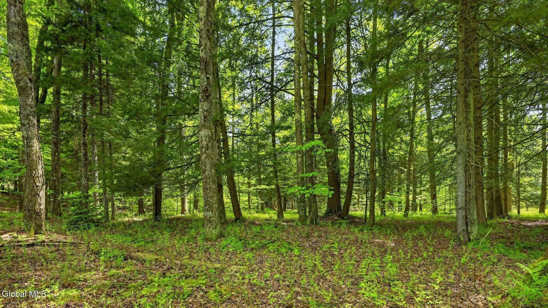 Property from L1.6 Crystal Brook Path - KW - Jefferson, New York, 12093