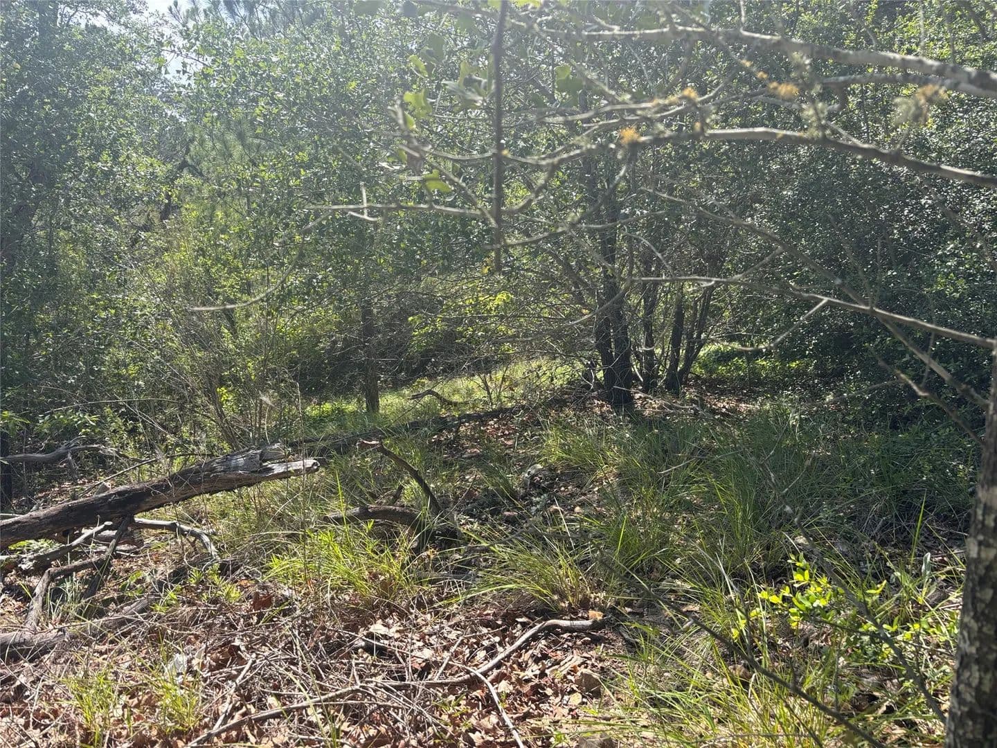0.27 Acres of Land for Sale in Bastrop, TX - Bastrop, Texas, 78602