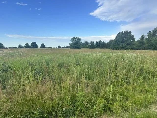 4 Acres of Land for Sale in Nevada, Missouri - land for sale
