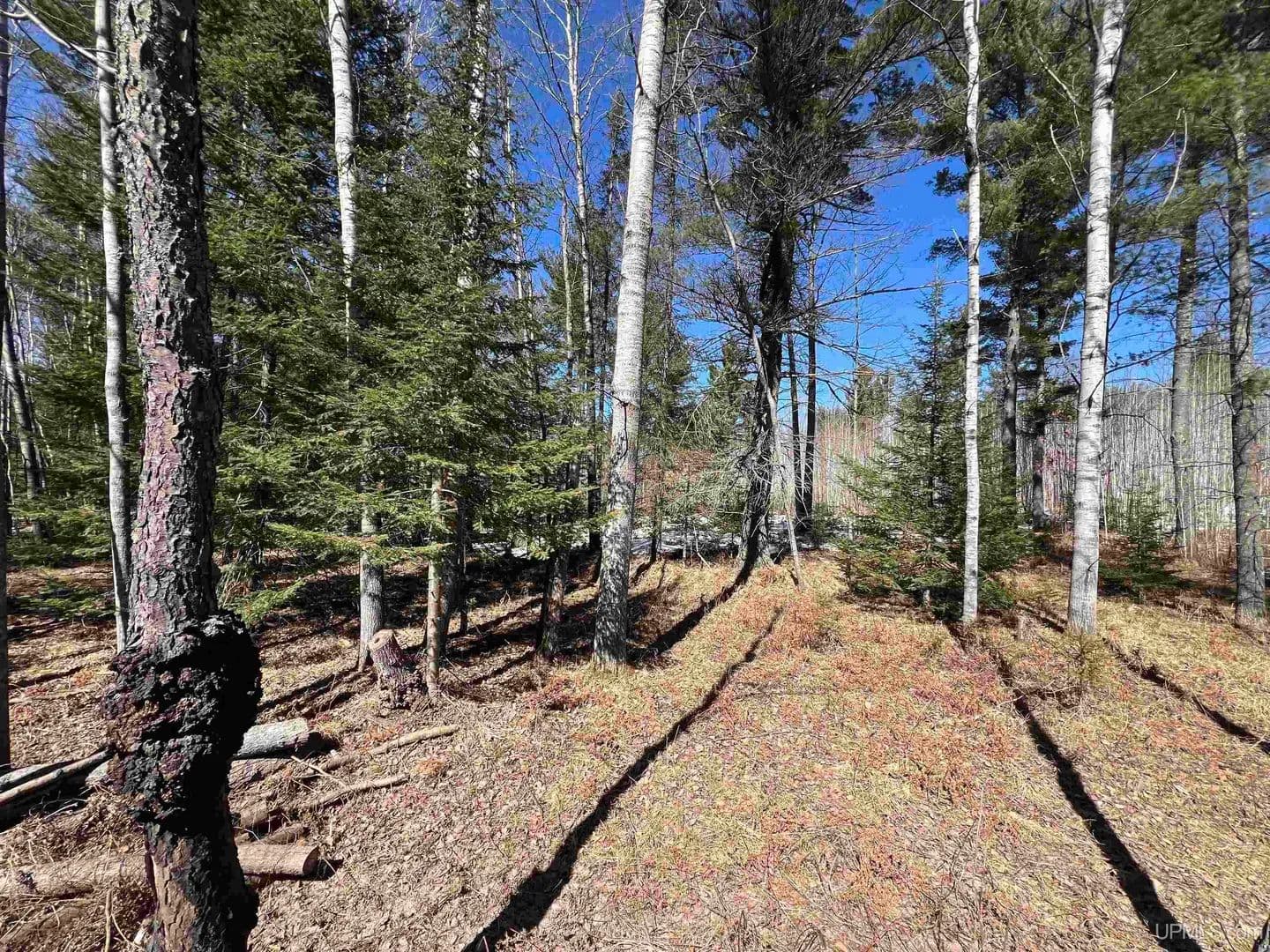 Property from TBD Co 424 - KW - Crystal Falls, Michigan, 49920