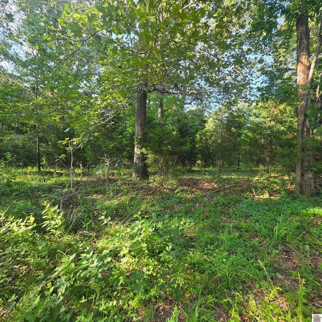 Property from 000 Valhalla - KW - Benton, Kentucky, 42025