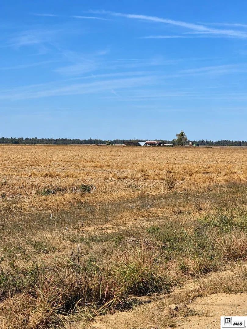 Vacant Land in Epps - Epps, Louisiana, 71237
