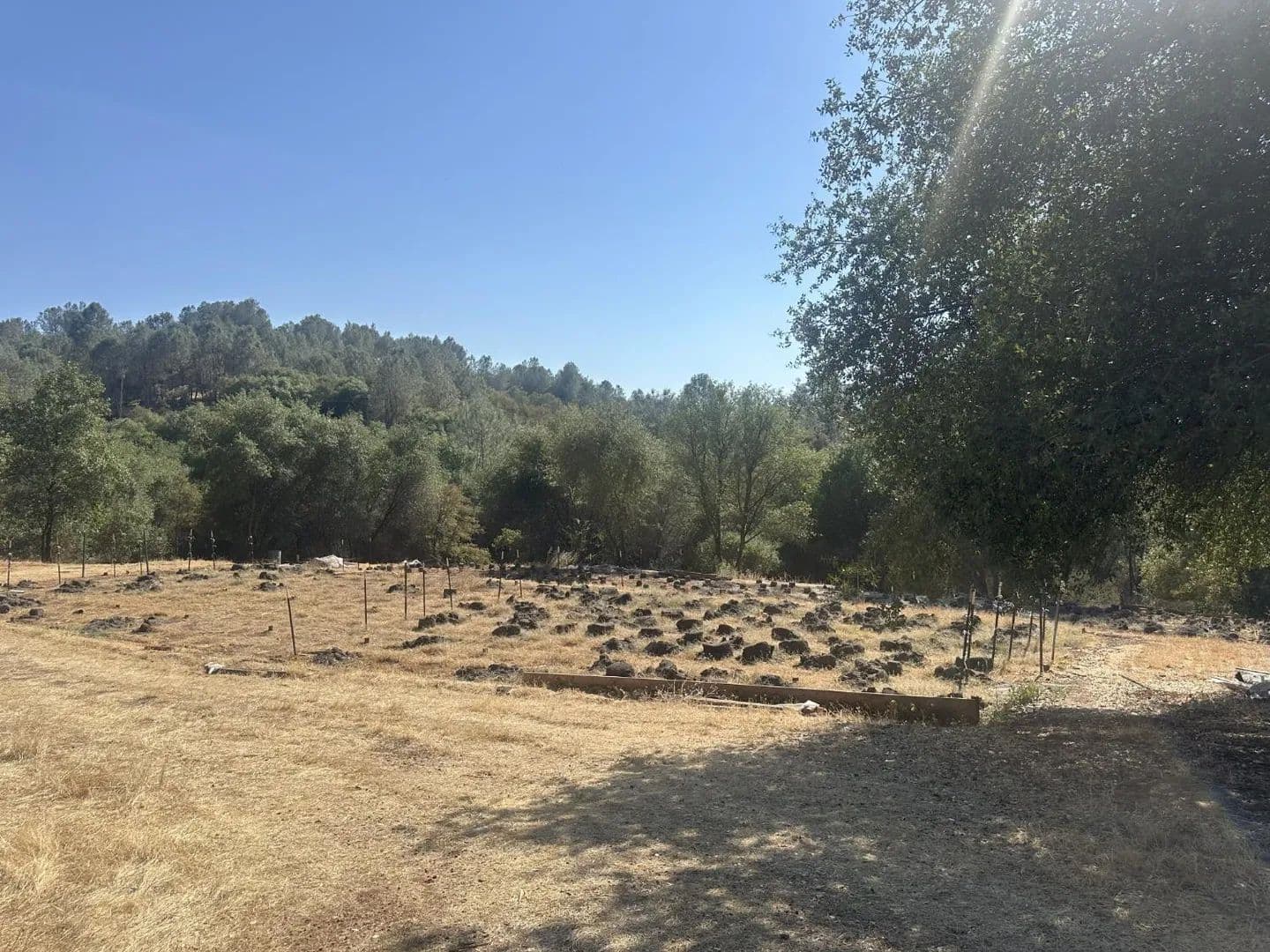 7.74 Acres of Land for Sale in Smartsville, CA - Smartsville, California, 95977