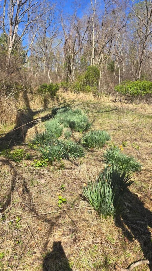 Property from TBD Huffville RD - KW - Pilot, Virginia, 24138