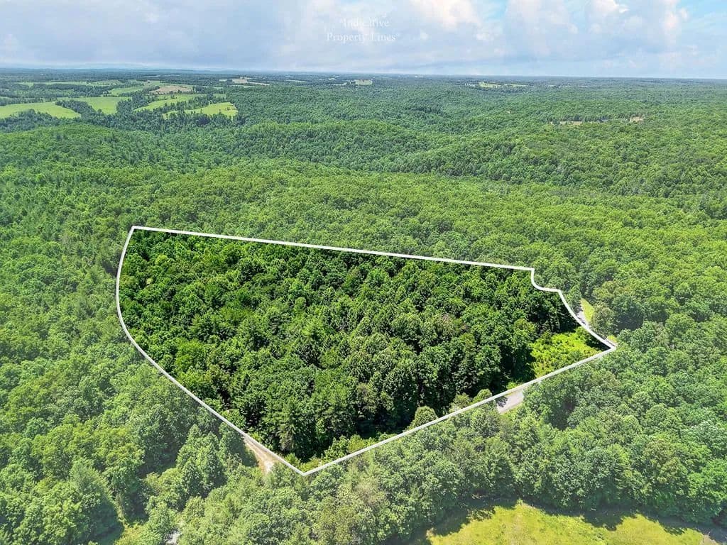 Property from 0 Shotgun Annie Rd - KW - Jamestown, Tennessee, 38556