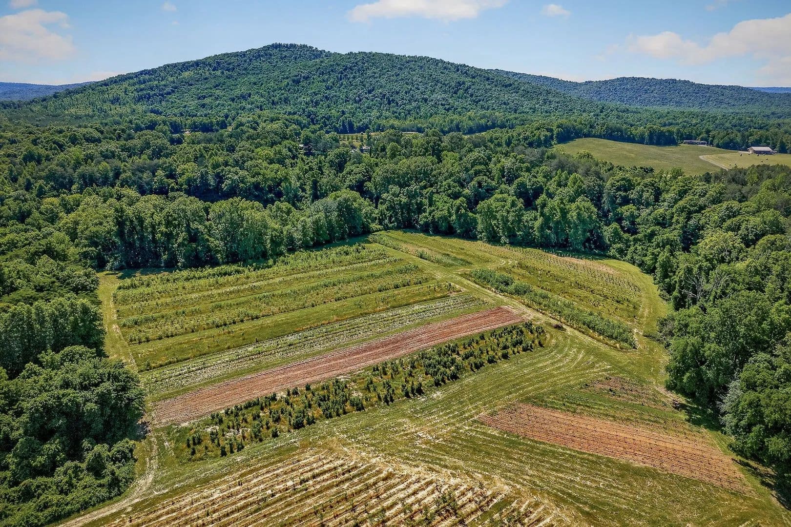 Property from 3 Hills Creek Rd - KW - McMinnville, Tennessee, 37110