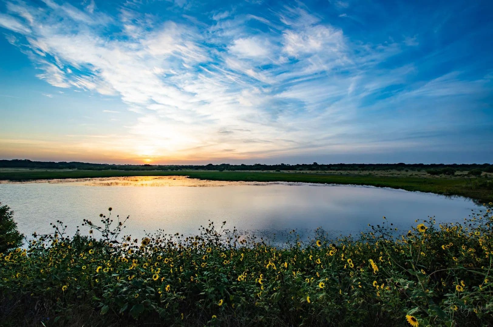 440.78 Acres of Land for Sale in Bangs, TX - Bangs, Texas, 76823