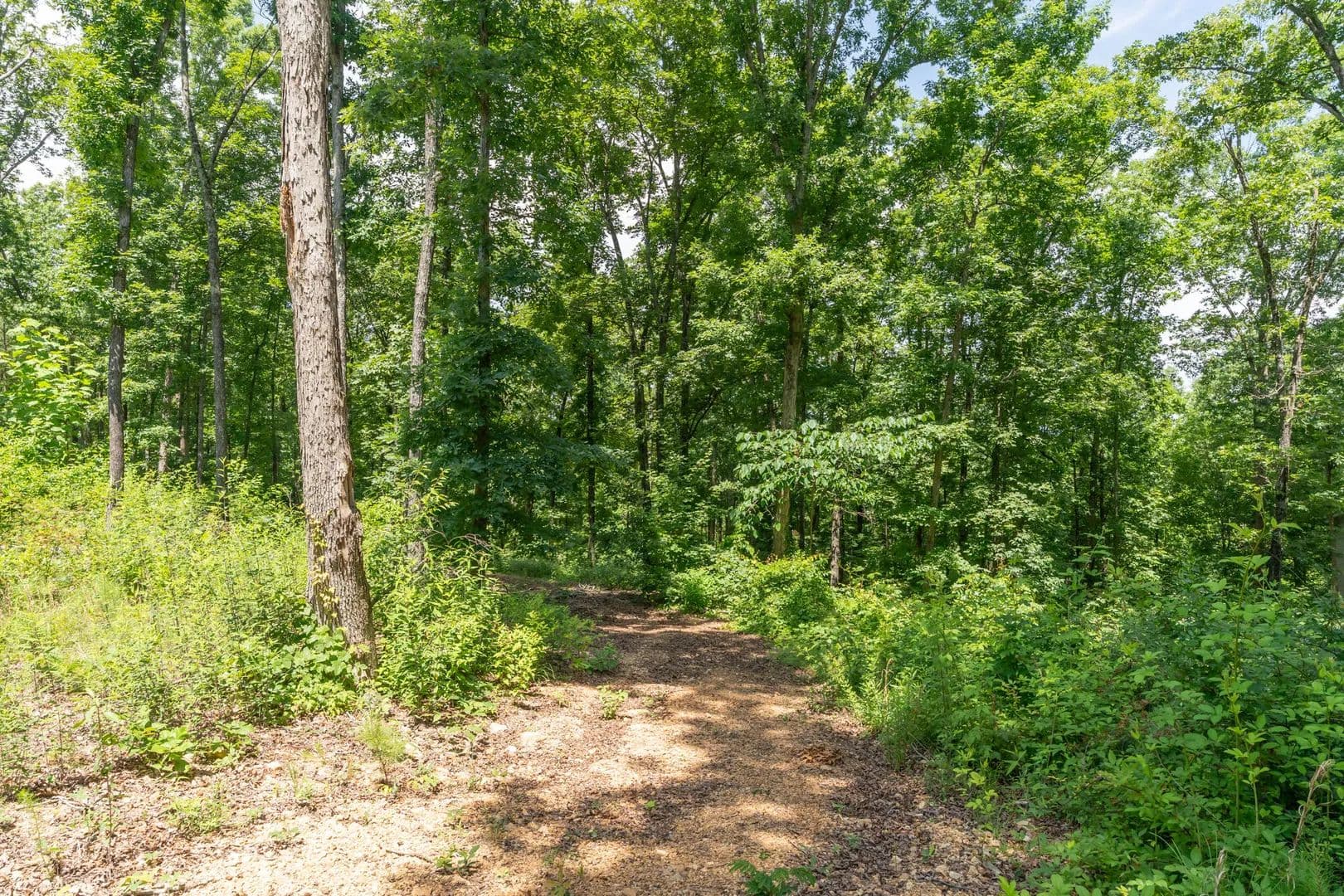 Property from 8833 Kelso Lane - KW - land for sale