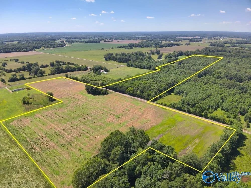 Property from 47 Acres Tanner Road - KW - Danville, Alabama, 35619