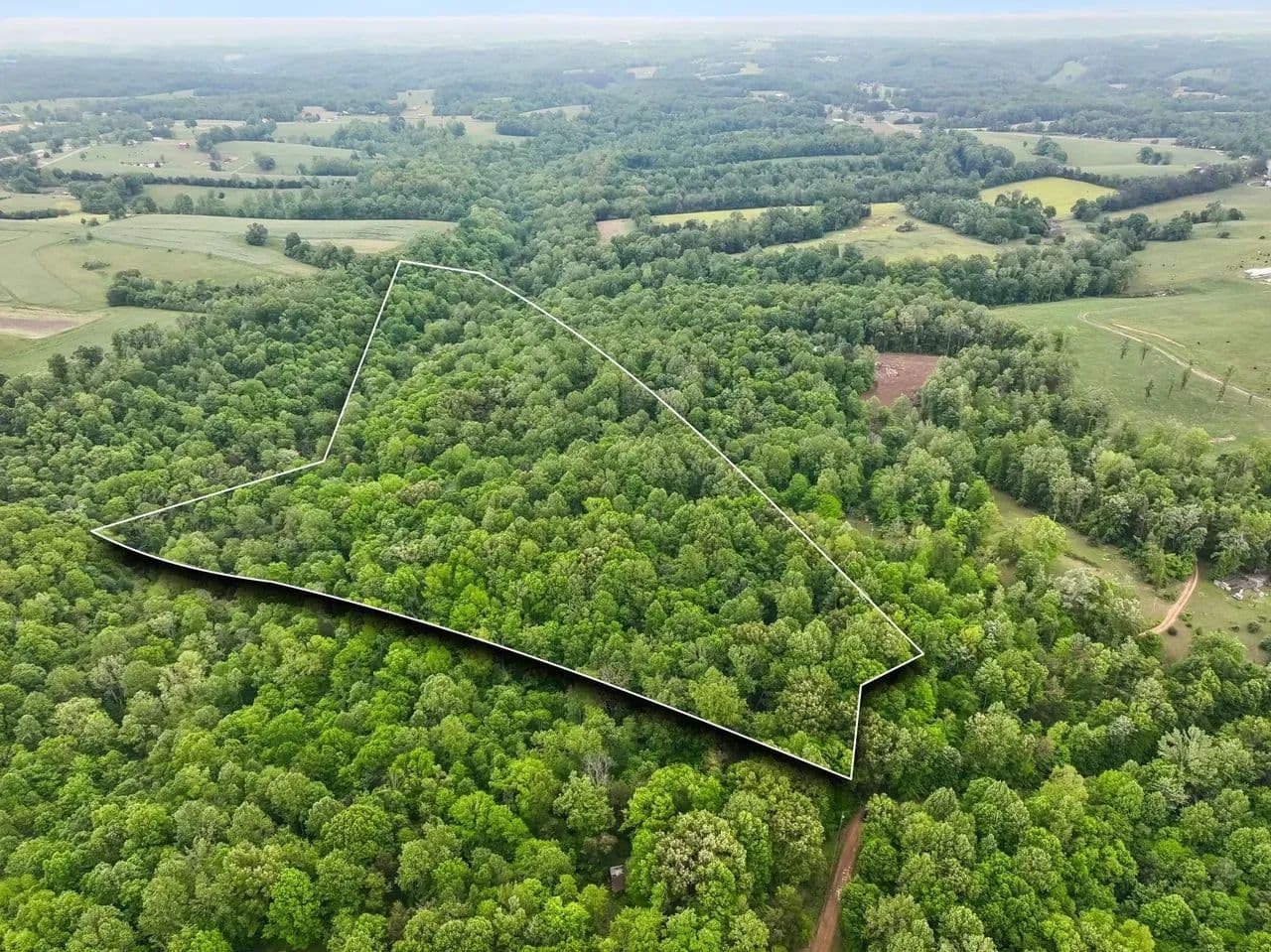 22± Wooded Acres with Creek & Homesite Potential - Lafayette, Tennessee, 37083