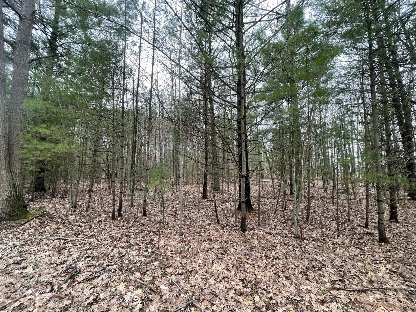Property from N Schoenherr Road - KW - Free Soil, Michigan, 49411