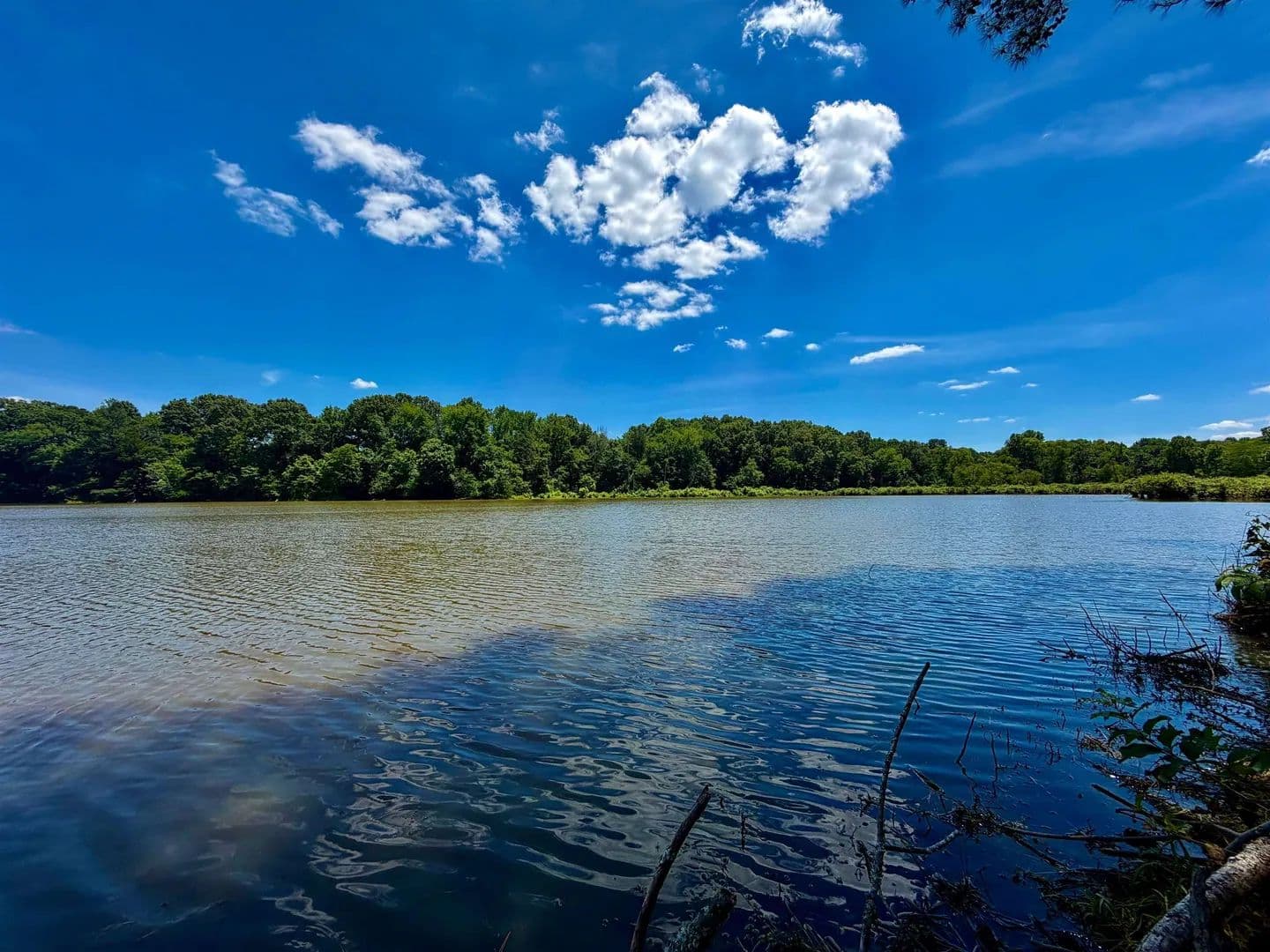 Property from 40.37 AC SMYRNA RD - KW - Somerville, Tennessee, 38068
