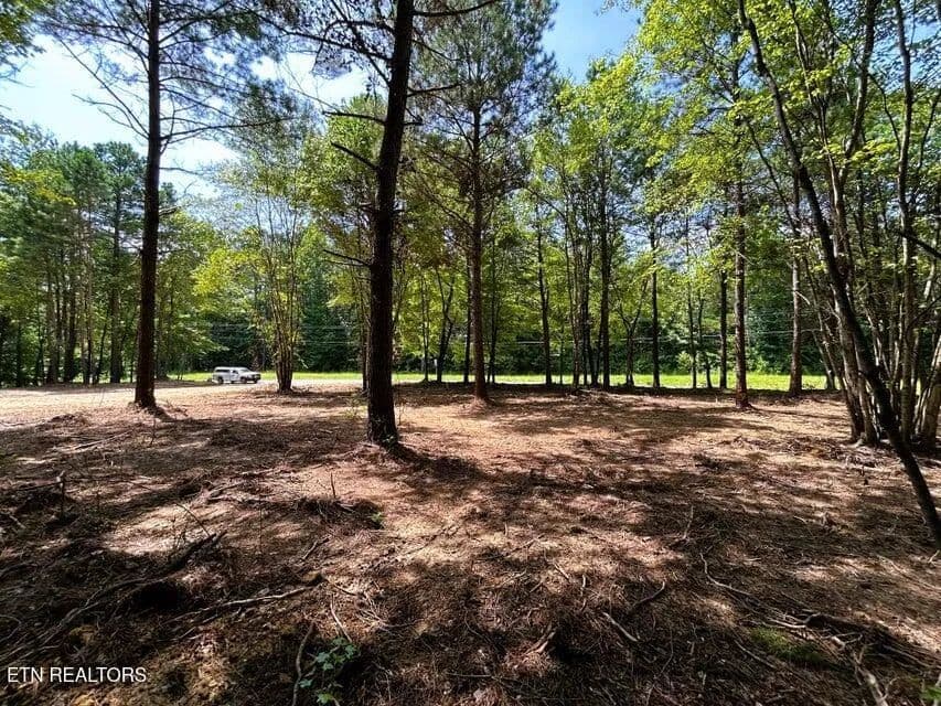 Property from 34 acres State Highway 304 - KW - Ten Mile, Tennessee, 37880