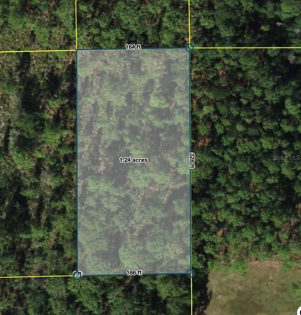 Property from POLK CITY - KW - Polk City, Florida, 33868
