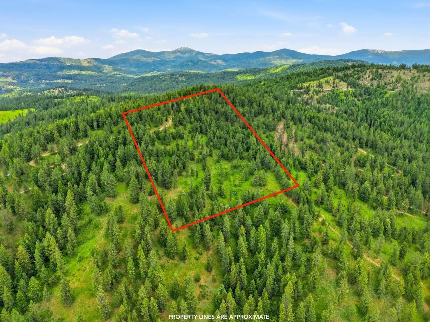 Property from 16301 N Scribner Branch Ln - KW - Mead, Washington, 99217