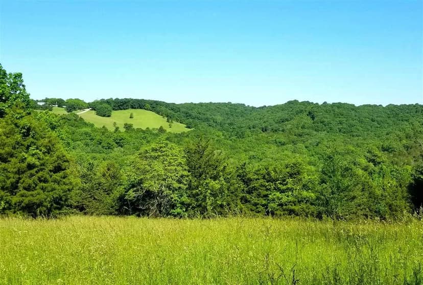 Almost 160 acres of hunting and recreational use!