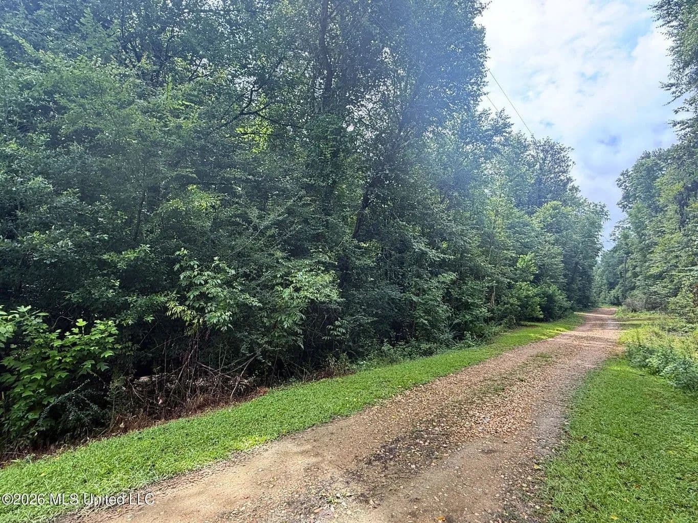 Waterfront Lot on the Bogue Chitto River Summit, MS - Summit, Mississippi, 39666