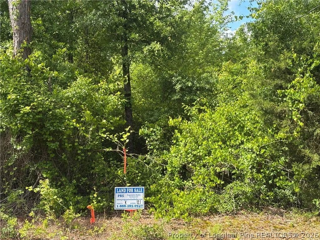 Property from Johnson Road - KW - Fayetteville, North Carolina, 28312