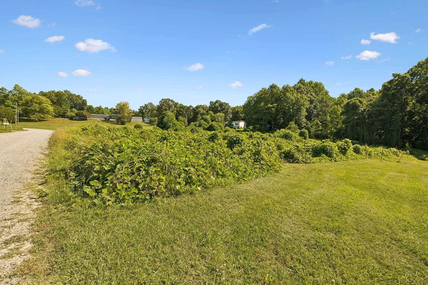 5 Acres of Land for Sale in Madisonville, Tennessee - Madisonville, Tennessee, 37354