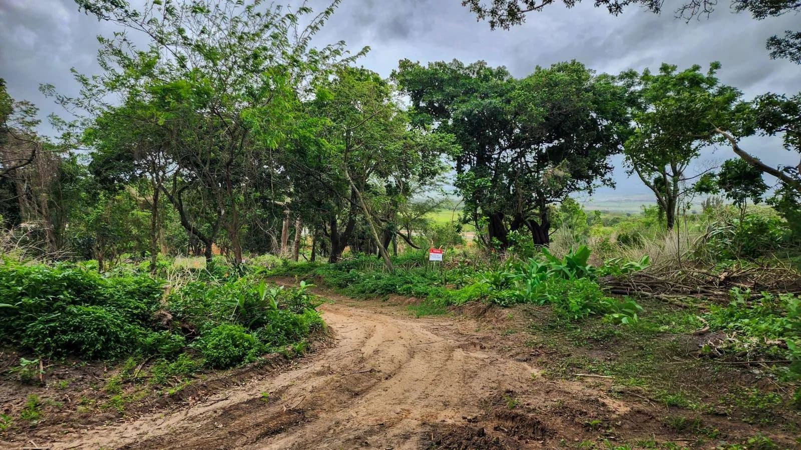 1782 Acres of Land for Sale in Ballito, KwaZulu Natal - land for sale