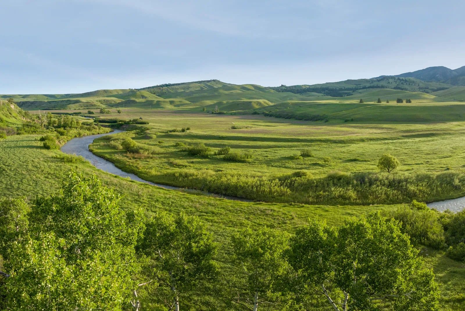 BIG SPRING LEGACY RANCH - Montana, 59457