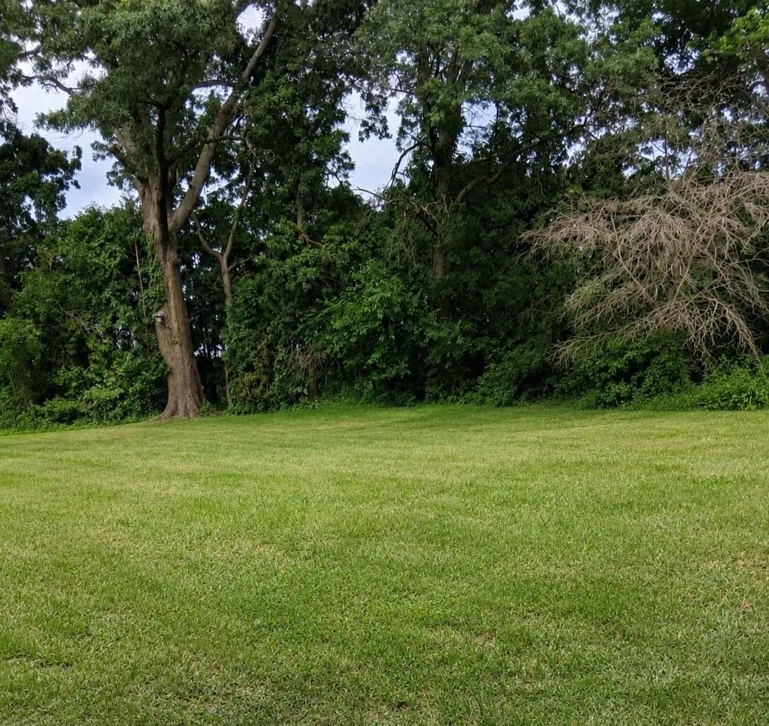 Property from Lot 087 S Deer Path Drive - KW - Bass Lake, Indiana, 46534