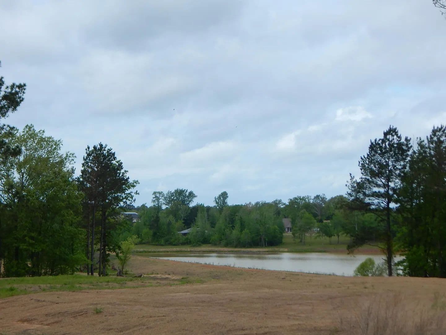 Vacant Land in Diana - Diana, Texas, 75640