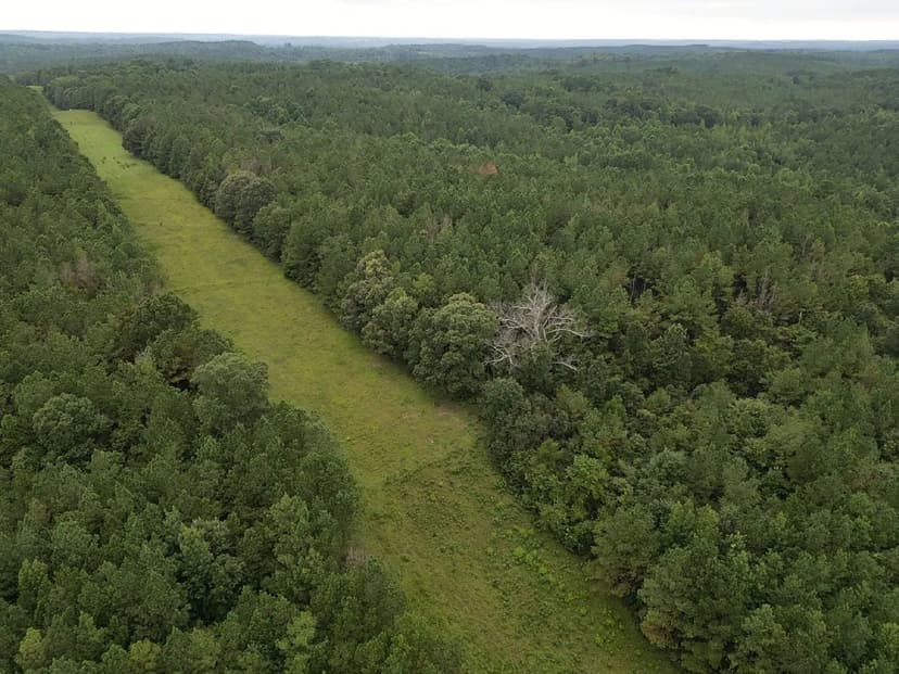 265+/- Acres Pickens County, AL