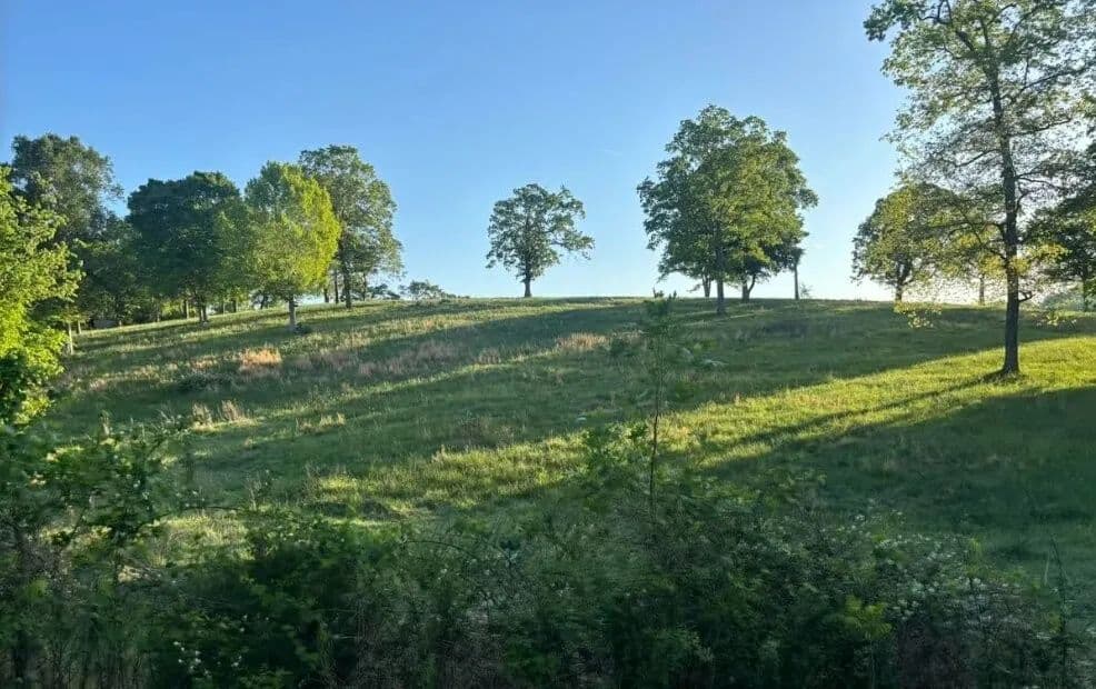Property from 135 Louise Creek Rd - KW - Cumberland Furnace, Tennessee, 37051