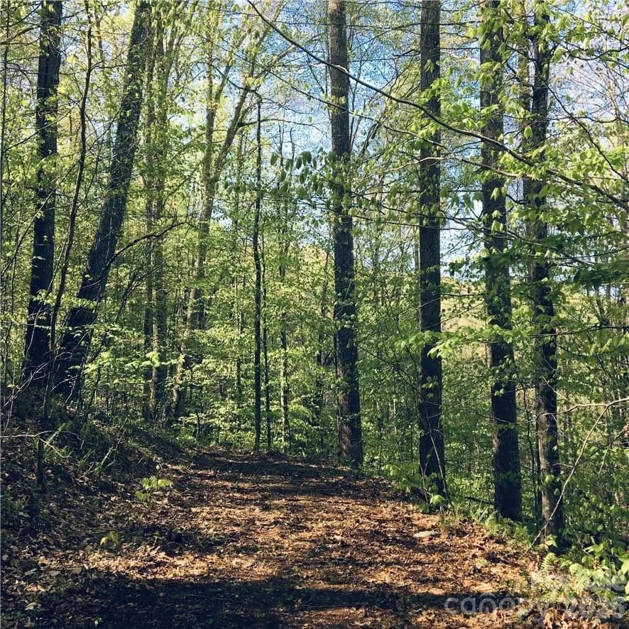 Property from 57 Fern Hill Drive - KW - Mars Hill, North Carolina, 28754