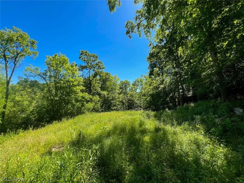 8.02 Acres of Land for Sale in Rayland, OH - Rayland, Ohio, 43943