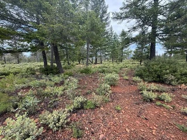 Property from 32001 Redwood Highway - KW - Cave Junction, Oregon, 97523
